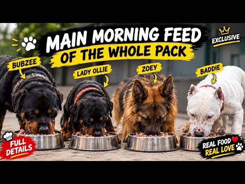 EXCLUSIVE! 😱 What Does Our ENTIRE DOG PACK Eat Every Morning? 🐕🔥 | Full Diet Revealed!