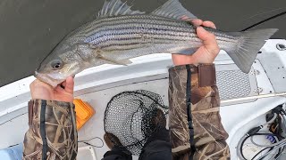 These LURES Catch Striped Bass!