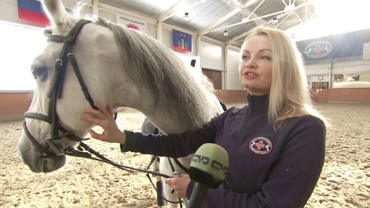 كريم المظفر - الخيول العربية في روسيا