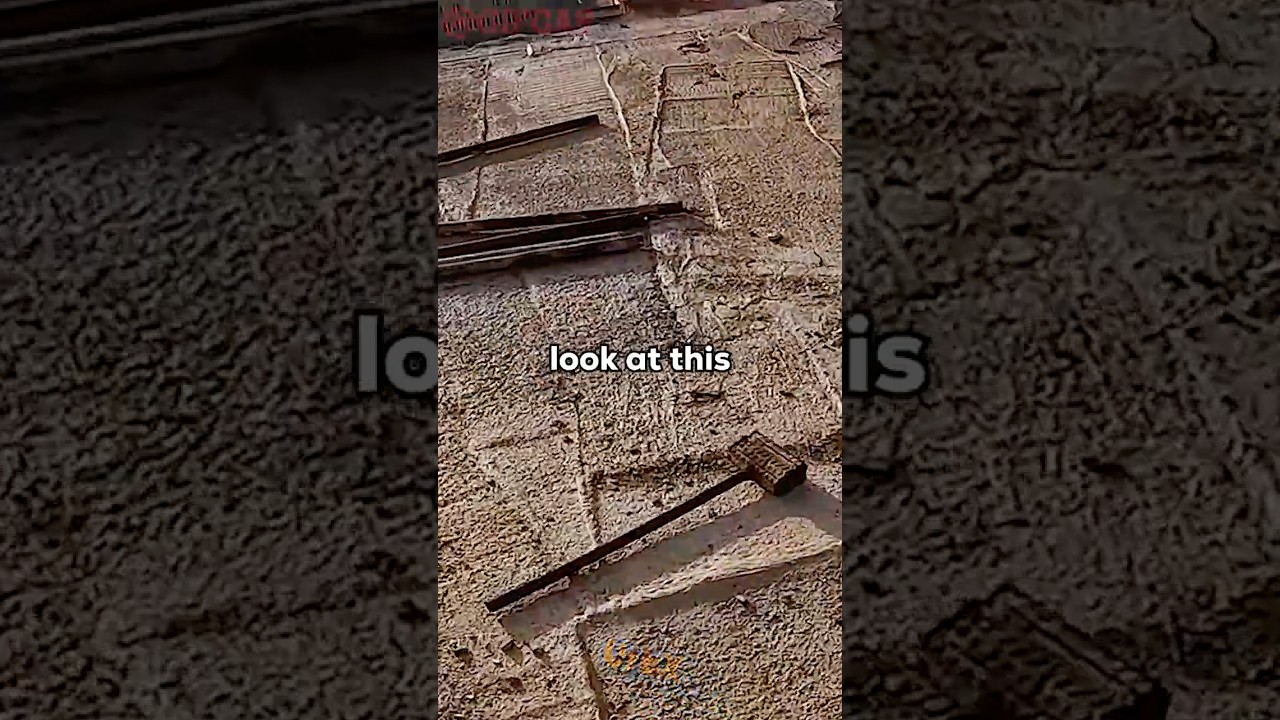 What's This?