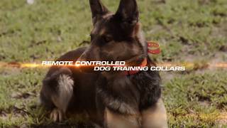 Dogtra Elektromos Nyakörv, Dogtra Ugatásgátló Nyakörv