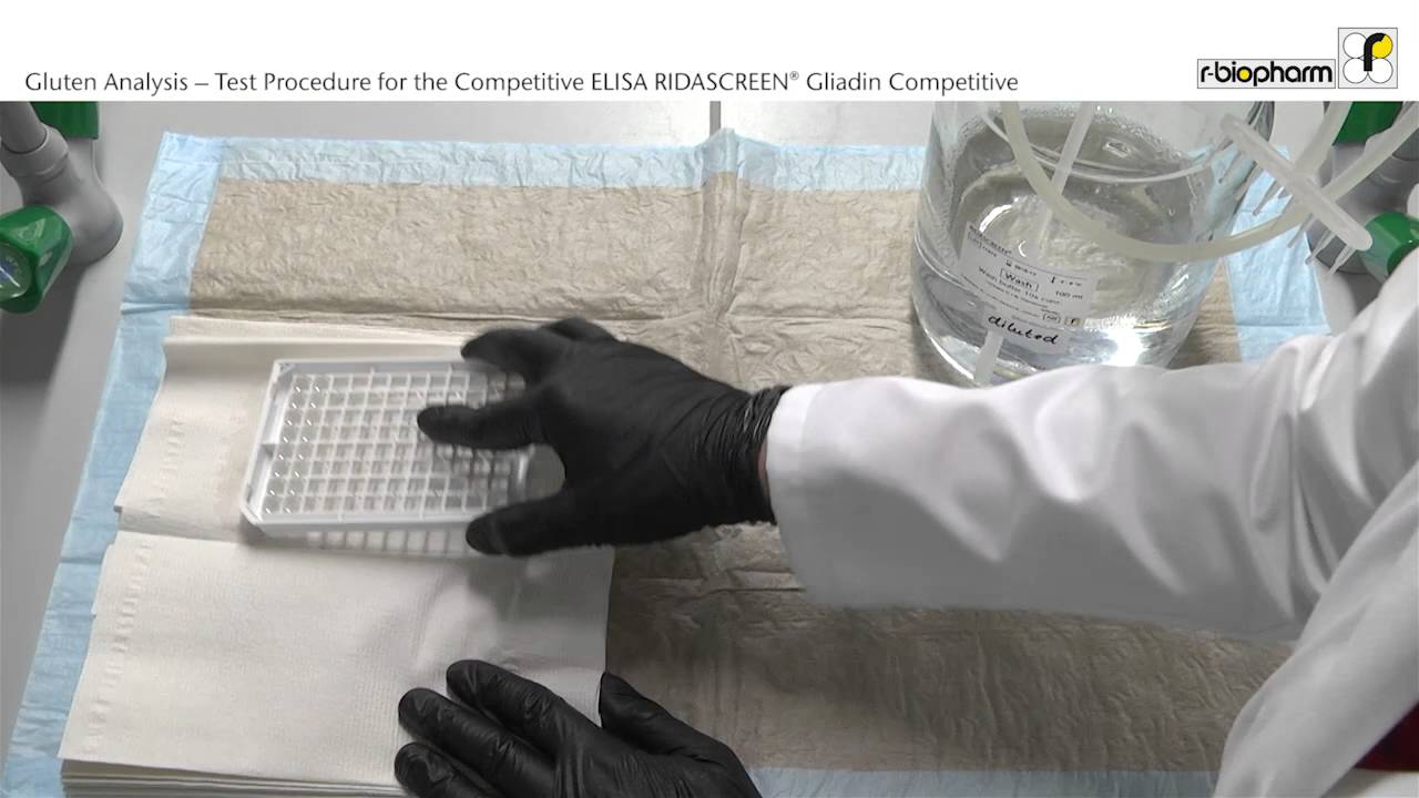 Video 6 Gluten Analysis Test Procedure for the competitive ELISA