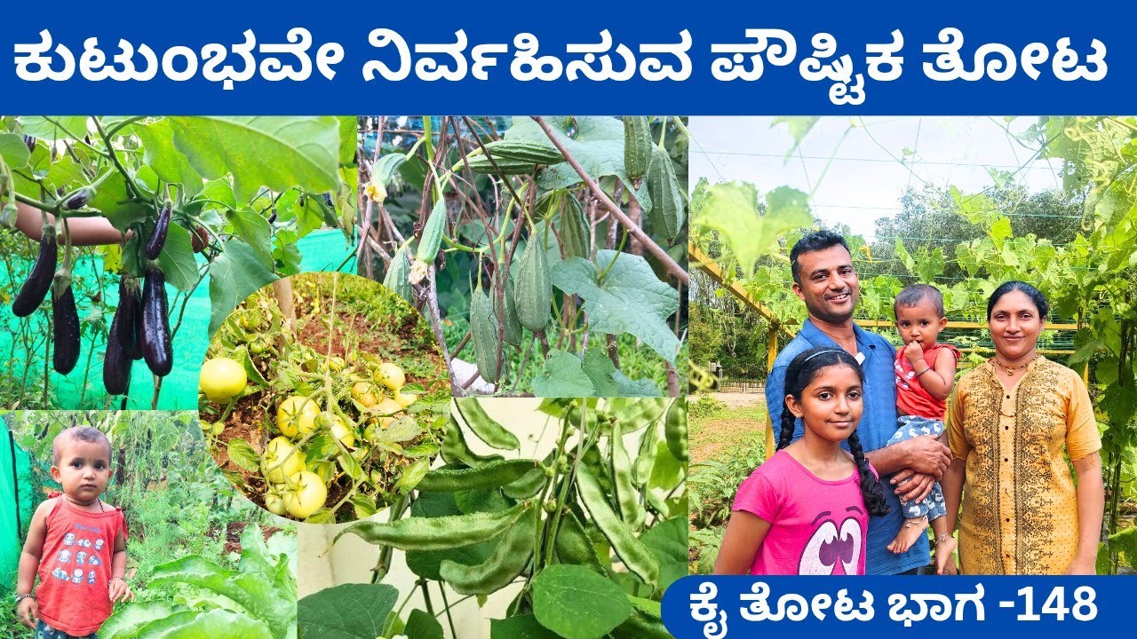 ತರಕಾರಿ ತೋಟಕ್ಕೆ ಗೊಬ್ಬರಕ್ಕಾಗಿ ಆರಂಭಿಸಿದ ಹೈನುಗಾರಿಕೆ‼️ಆಡು ಕೋಳಿ ಹಂದಿಯ ಯಶಸ್ವಿ ಹೈನುಗಾರಿಕೆ ⁉️ ಜಯರಾಜ್ ಸುಳ್ಯ