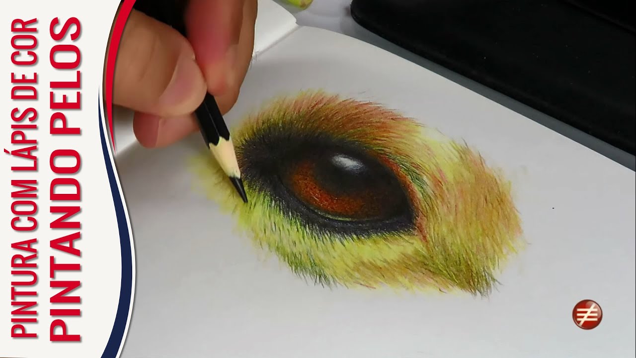 Pintando pelos com lápis de cor
