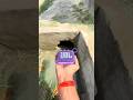 JBL passing into water tunnel