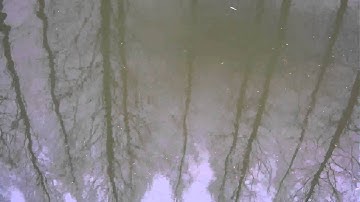 Vessel Monitoring and Tracking