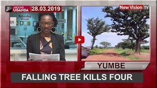 Around Uganda: Falling tree kills four in Yumbe