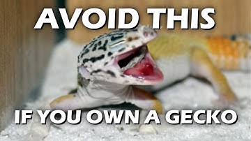 TOP 3 THINGS I WOULD AVOID WHEN I OWN A LEOPARD GECKO | GECKOPIA