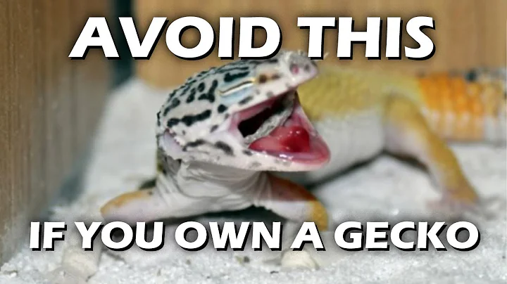 TOP 3 THINGS I WOULD AVOID WHEN I OWN A LEOPARD GECKO | GECKOPIA