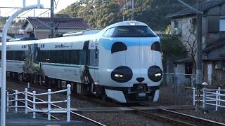 パンダくろしお 白浜駅、紀伊田辺駅