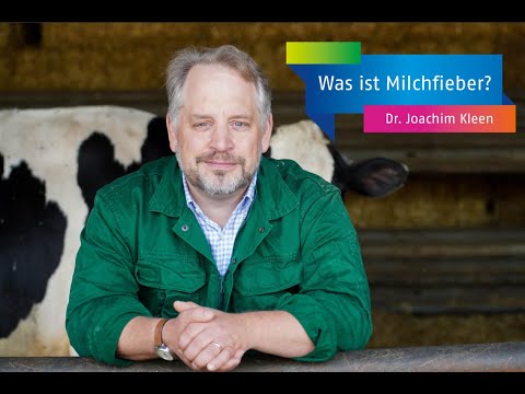 Video: Milchfieber Bei Milchkühen