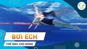 Học Bơi Ếch - Dạy Bơi Chi Tiết Từng Bước Cơ Bản Nhất - Bể Bơi Bốn Mùa Hoàng Mai