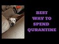The *BEST* Way to Spend Quarantine