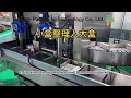 E-Cigarette Box-in-Box Cartoning Machine & Case Packing Line