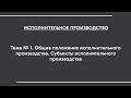 Испол. производство (ОФО). Лекция № 1. Общие положения ИП. Субъекты ИП