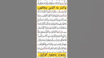 وأنذر به الذين يخافون #الوكيل #تيك_توك #foryou #المنشاوي #قرآن #قران #تلاوات_خاشعة #tiktok #duet #لا