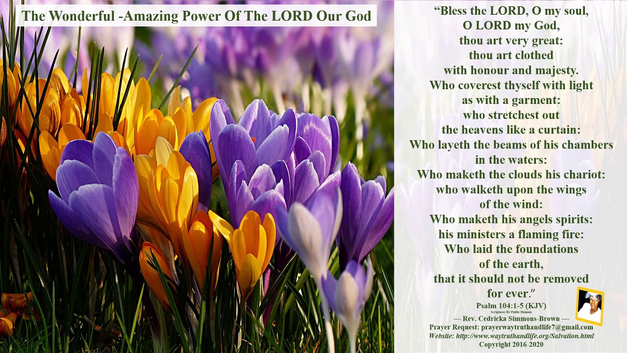 Bless The LORD Psalm 104 1 5 Rev Cedricka Simmons Brown YouTube bless-the-lord-psalm-104-1-5-rev-cedricka-simmons-brown-youtube