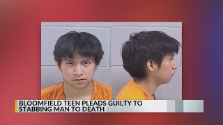 Bloomfield man pleads guilty to deadly stabbing during argument