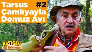 Tarsus Çamlıyayla Domuz Avı 2 Rastgele Ali Birerdinç Yaban Tv Wildboar Hunting Turkey