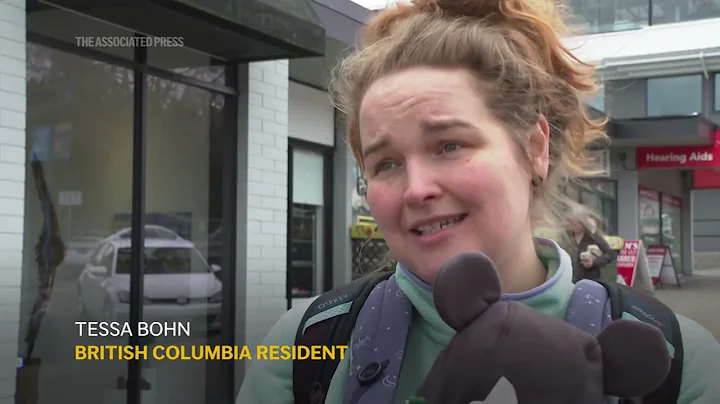 Canadians, American business owner react to Trump tariffs