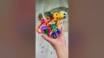Cat Barsik Beads 🌈 Balls 🔴🟡🔵 Reverse video 