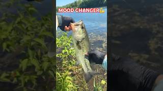 Bass Fishing Mood Change… #fishing #bassfishing #funny #meme #livestream #fishinglife #lunker #bank