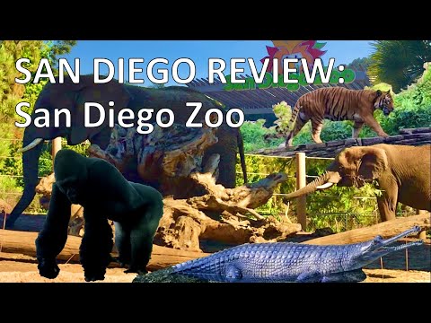Video: Planera din resa till San Diego Zoo