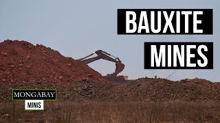 Bauxite mining destroys ancient forests in Guinea