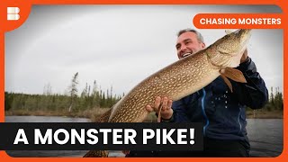 Giant Pike in the Ice Waters! - Chasing Monsters - S05 EP04 - Fishing Show