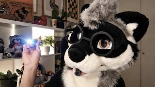 [Furry ASMR] Examen de los Nervios Craneales 🧠 | Atención Personal para Dormir | En Español