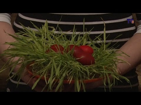 სომხური სამოციქულო ეკლესია აღდგომის დღესასწაულს ზეიმობს