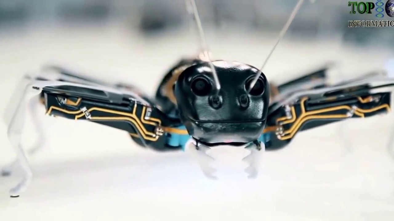77 Gambar Robot Hewan Keren Gratis Terbaru