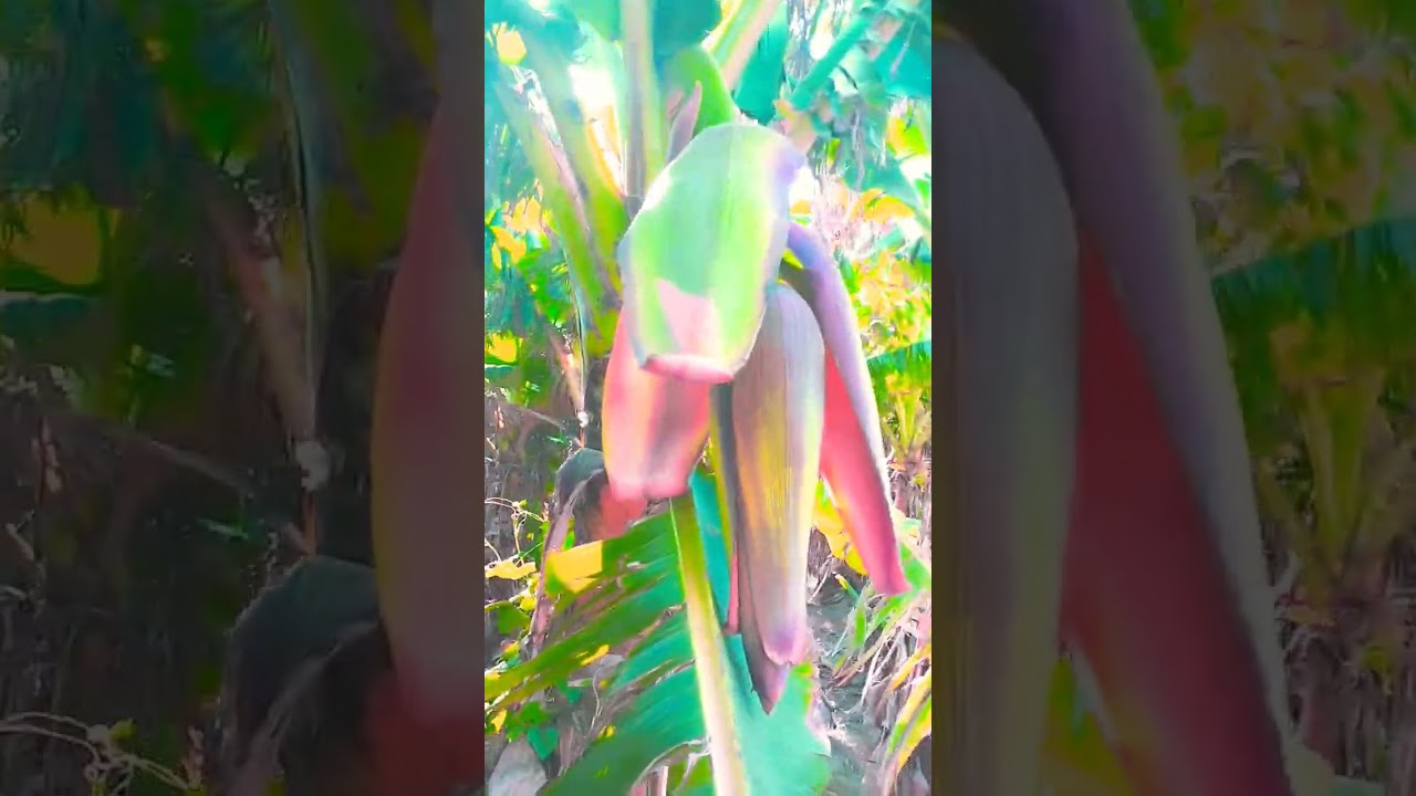 aapni hi zindagi mai 