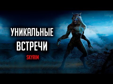 Видео: Skyrim - РЕДКИЕ И УНИКАЛЬНЫЕ ВСТРЕЧИ ( Секреты #292 )