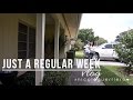 Just A Regular Week | Vlog