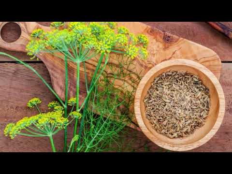 Video: Za što se koristi acorus calamus?