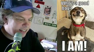 Who's A Good Boy?