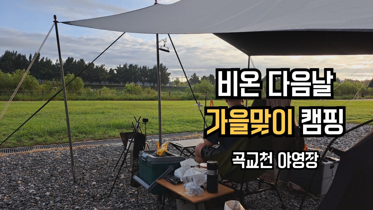 EP52. 비온 다음날 가을맞이 캠핑(곡교쳔 야영장 I 은행나무길 I 뭉팅이 I 소갈비 I 군감자)