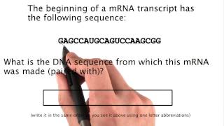 Problem 12 - Tales from the Genome