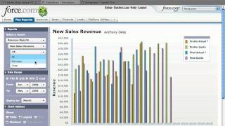 Custom Reporting in Salesforce.com built with Adobe Flex