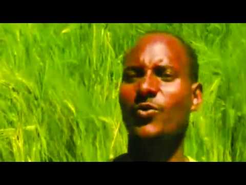 Alemayehu Hafte Muna ሙና Traditional Tigrigna Raya Music 2019 Official Video