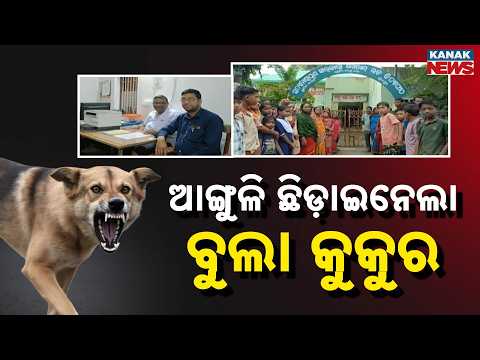 ଆତଙ୍କ ରଚିଛି ବୁଲା କୁକୁର Baleswar School Dog Attack | Stray Dog Severely Injures Class 3 Student