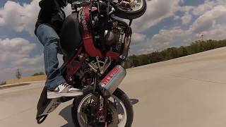 NLB 420 - Nasty Lot Bumz - Sesh 2014