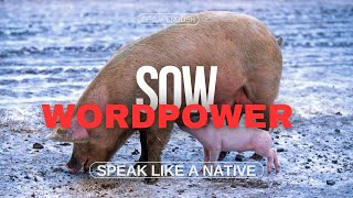 How to Pronounce 'Sow' Correctly – Are You Saying It Wrong?