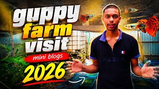 Guppy fram visit 🤯mini hatchery blogs 🐠🦈 #guppy #fish #farm #vlog 