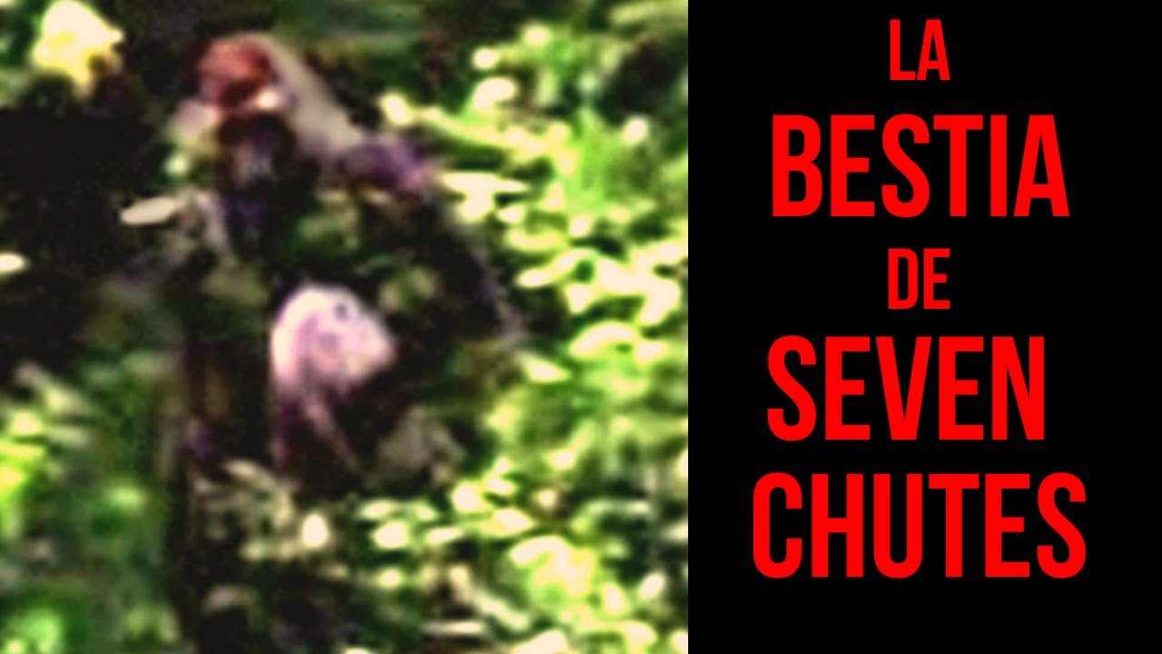 La bestia de Seven Chutes - Criptozoología - YouTube