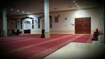.. تلاوة .. ﴿ إِنَّ اللَّهَ وَمَلَائِكَتَهُ يُصَلُّونَ عَلَى النَّبِيِّ ۚ  ﴾