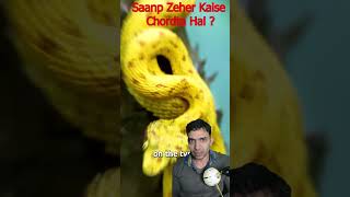 Saanp Zeher Kaise Chordta Hai🐍?😨सांप ज़हर कैसे उगलता है ?