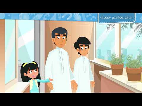 النباتات المعراة البذور اللازهرية