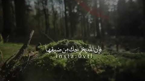 فضل اذكار الصباح والمساء وغيرها  لفضيلة الشيخ : محمد بن محمد المختار الشنقيطي _ حفظه الله _